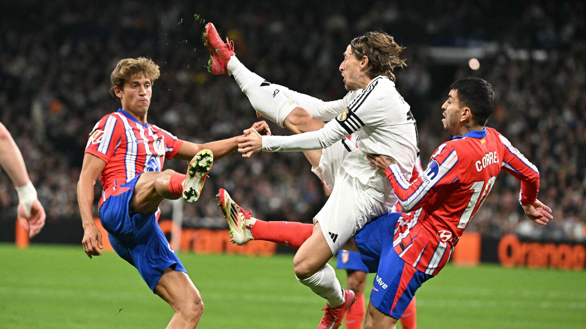 业的人都能 业的人都能