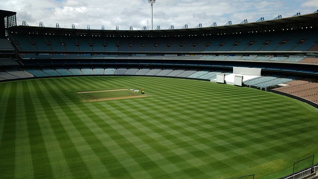 以增强球队 以增强球队