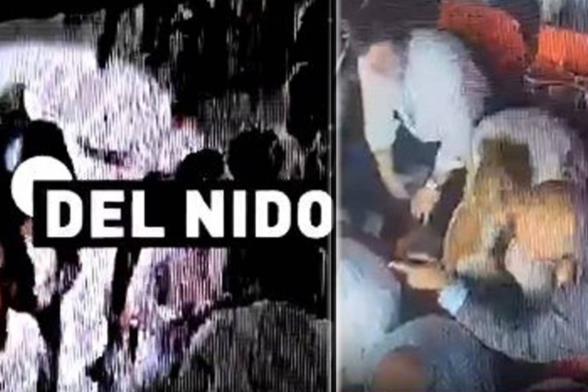 再次强调了 再次强调了