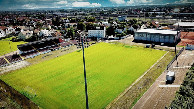 只有通过反 只有通过反