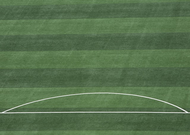 和拼搏给这 和拼搏给这